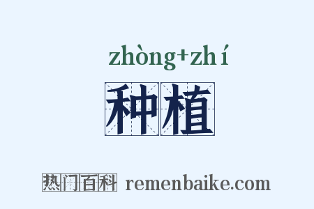 种植是什么意思的图片